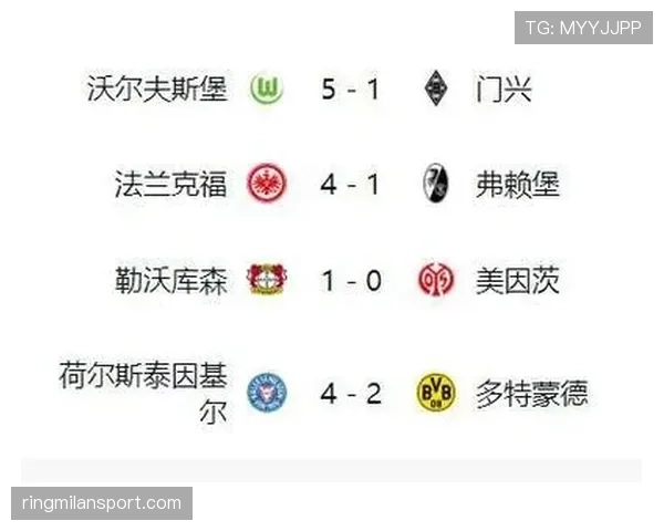勒沃库森领跑德甲积分榜