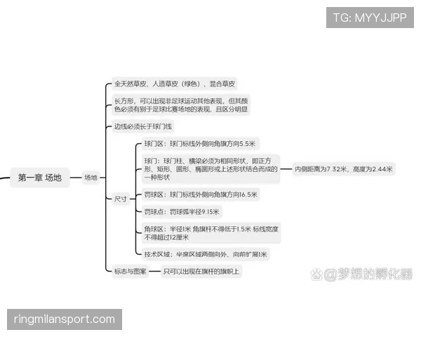 裁判权威如何影响足球规则的执行与判罚公平性解析 裁判权威如何影响足球规则的执行与判罚公平性解析